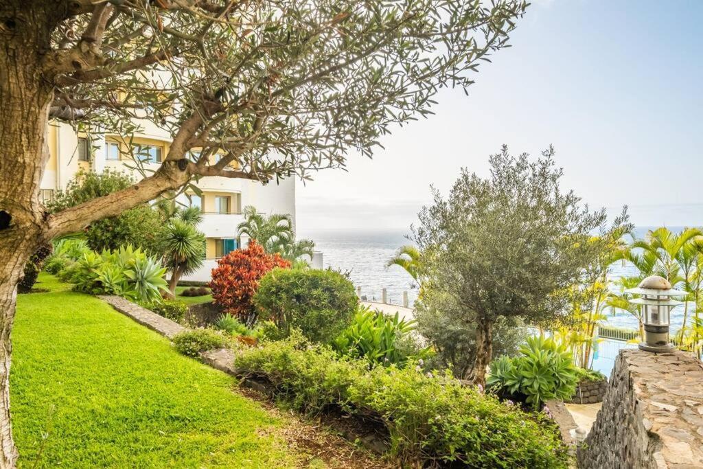 Super Cliff Apartamento Funchal  Exterior foto